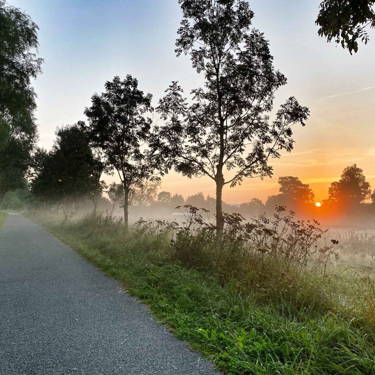 first-light-how-it-works-supporting-full-pexels-9742210-scaled-1536x1536.jpg